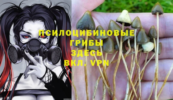 марки lsd Бутурлиновка
