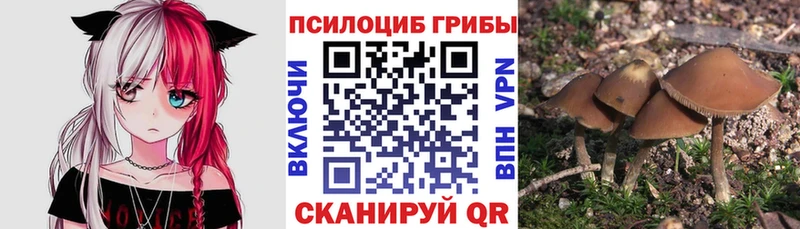 Галлюциногенные грибы Magic Shrooms  цены   omg ONION  Боготол 